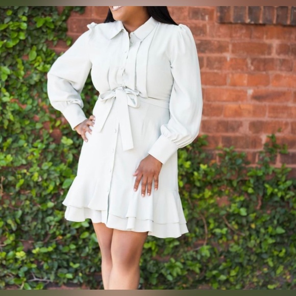 Alex Marie Women’s Jesse Long Sleeves Tie Waist Tiered Pleated Shirt Dress Sz 18 - Picture 14 of 14